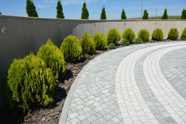 Best Driveway Pavers Near Me  in Pahrump, NV